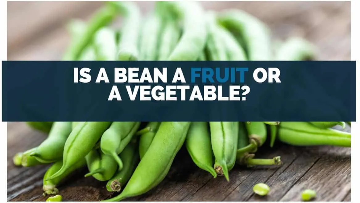 Is A Bean A Fruit Or A Vegetable
