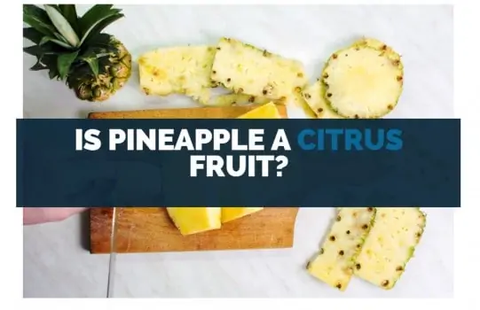 Is Pineapple a Citrus Fruit