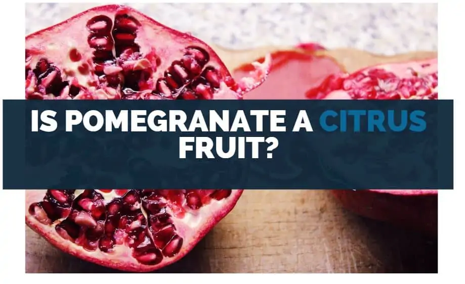 Is Pomegranate a Citrus Fruit