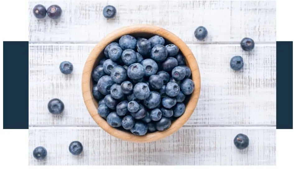 Is it Okay to Eat Blueberries Everyday