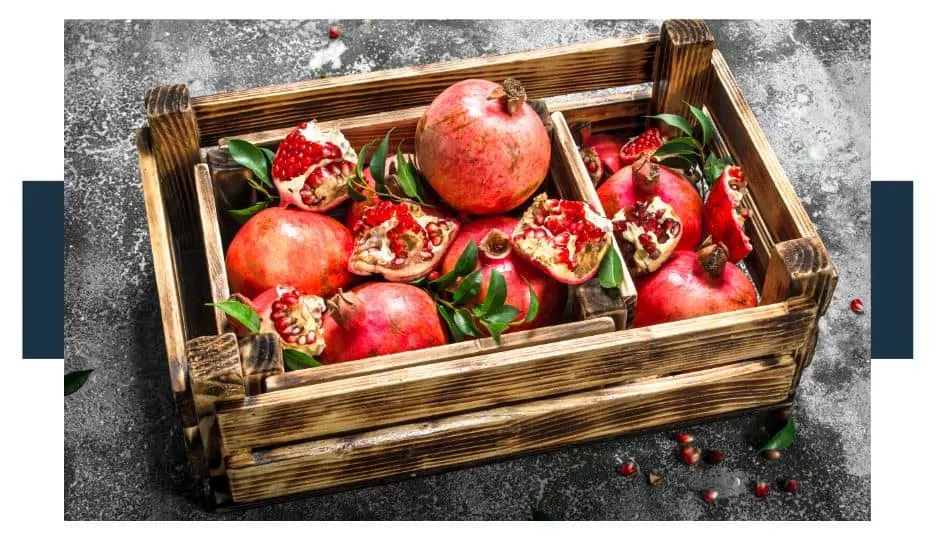Pomegranate Facts and Information
