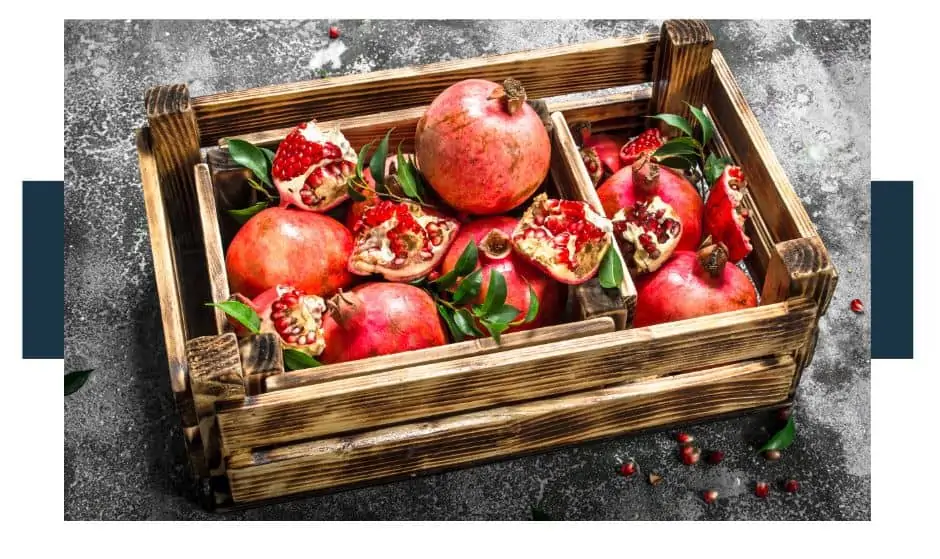 Pomegranate Facts and Information