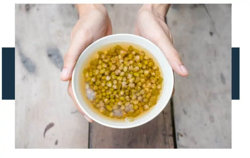 What do mung beans taste like