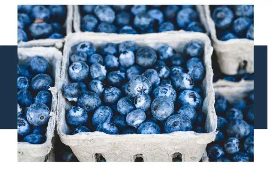 What is the Color of Blueberries
