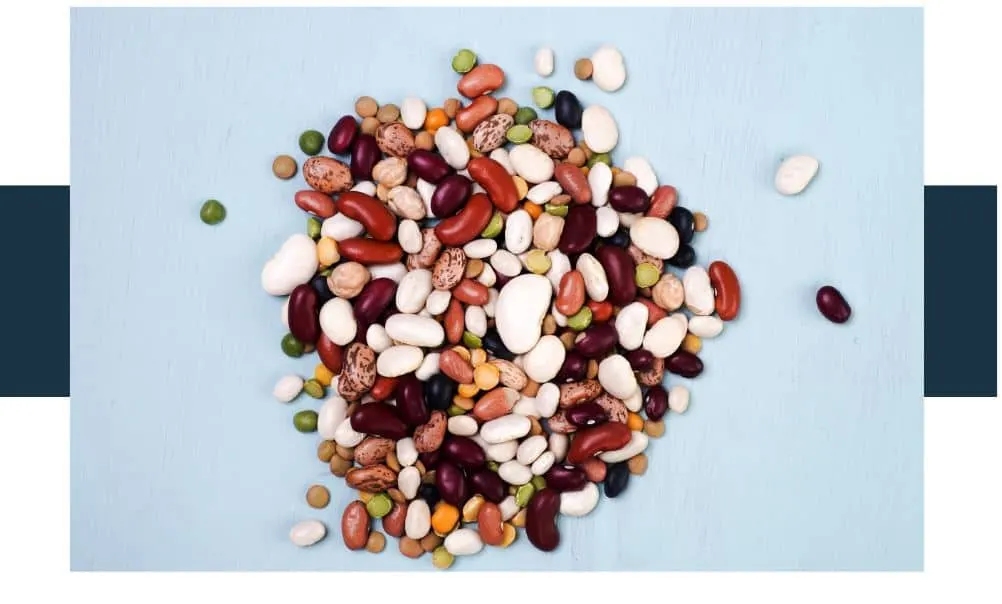 Which Beans Are Less Gassy