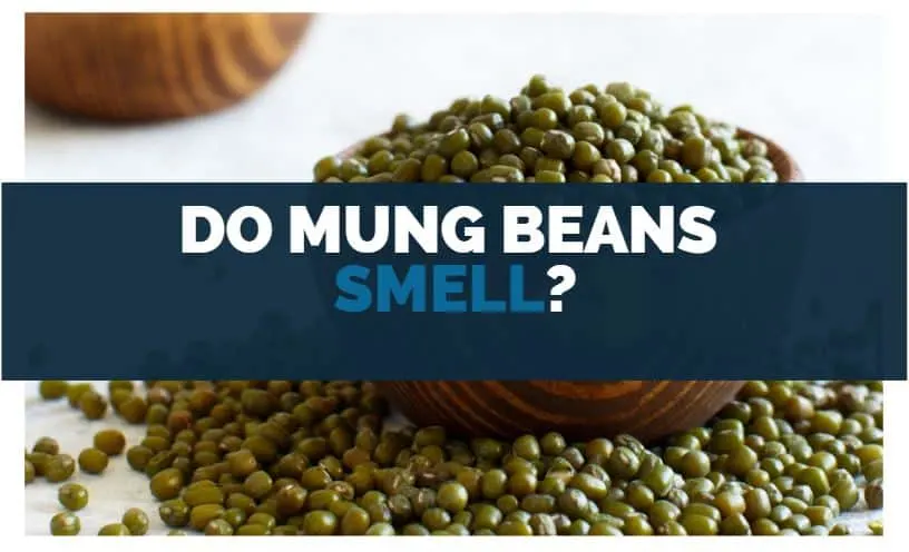 do mung beans smell