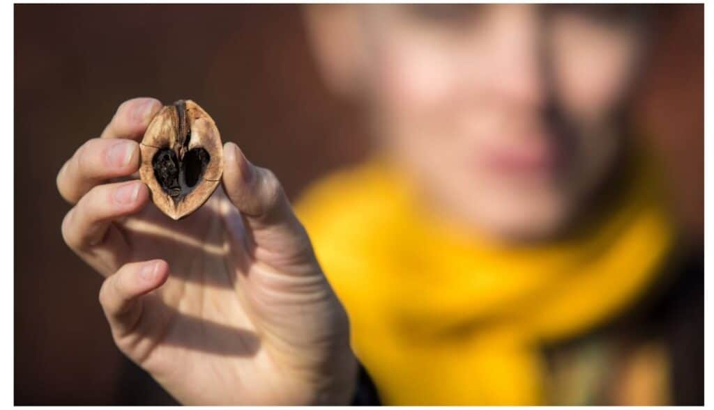 How Quickly Do Nuts Go Rancid?