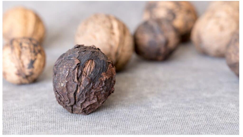 How Quickly Do Nuts Go Rancid?