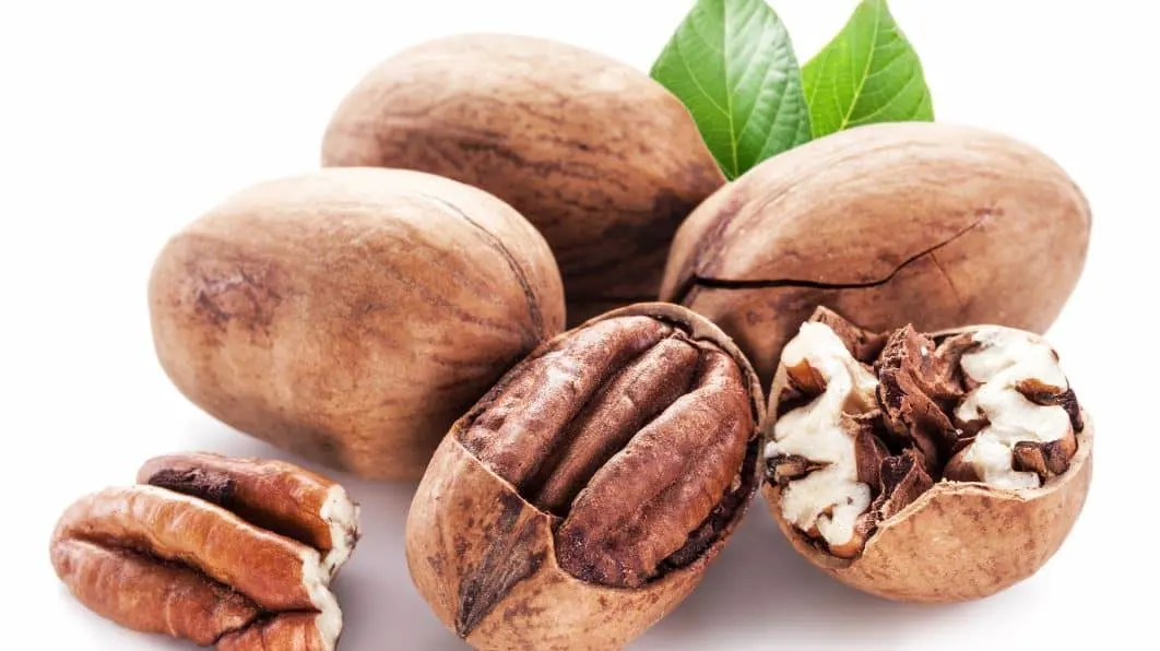 How Many Pecans Should You Eat a Day