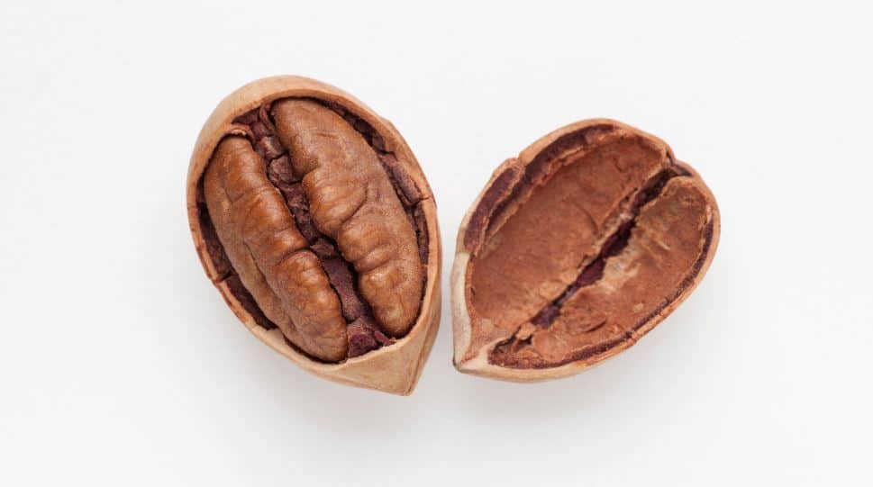 Is Eating Pecans Everyday Bad for You