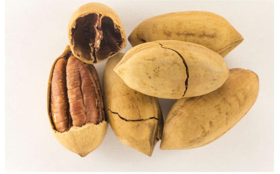 Pecans Provide Optimal Diabetic Relief