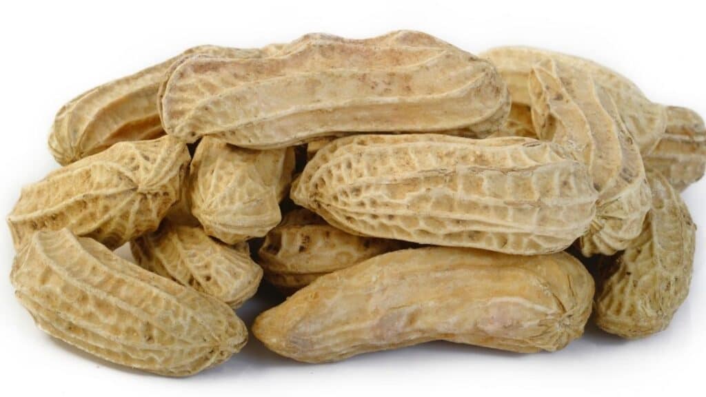 Are Monkey Nuts and Peanuts the Same Thing