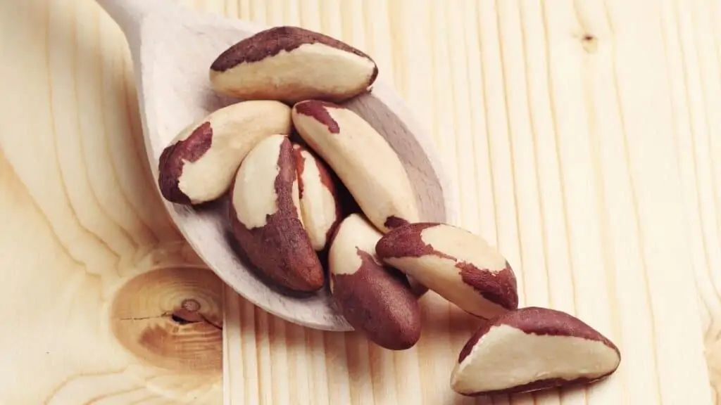 Brazil Nut Plantations