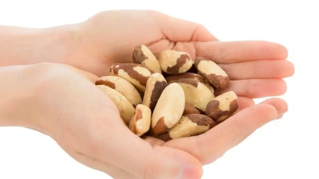 Brazil Nut Radioactivity A Quick Overview