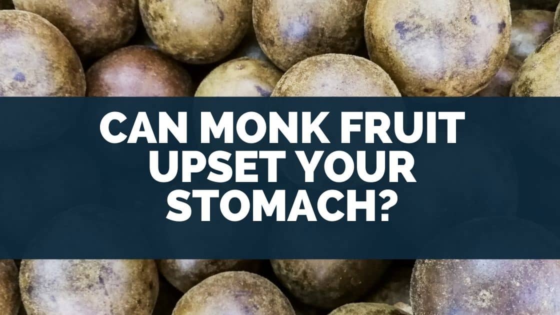 can dogs eat monk fruit