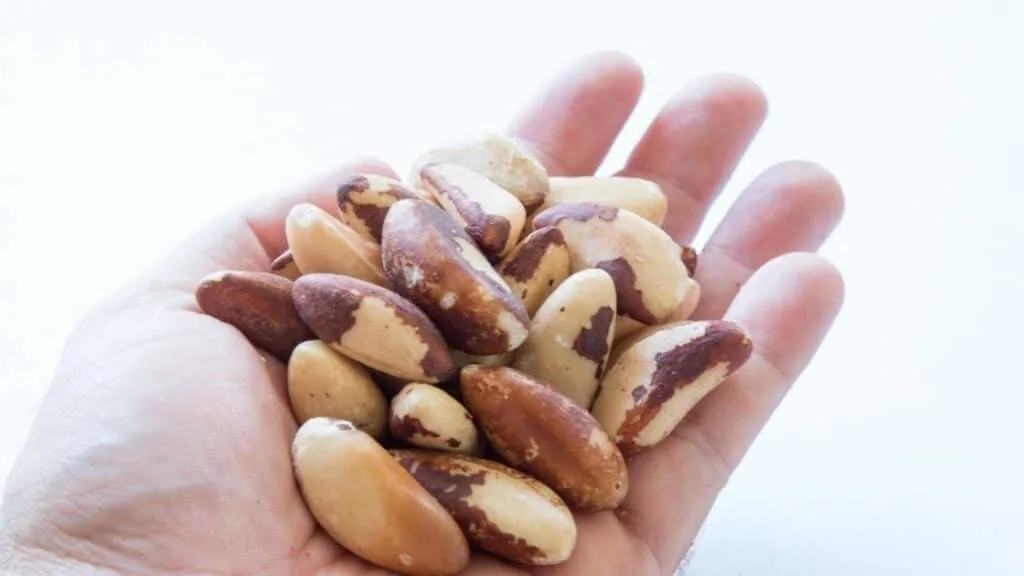 Can You Roast Brazil Nuts