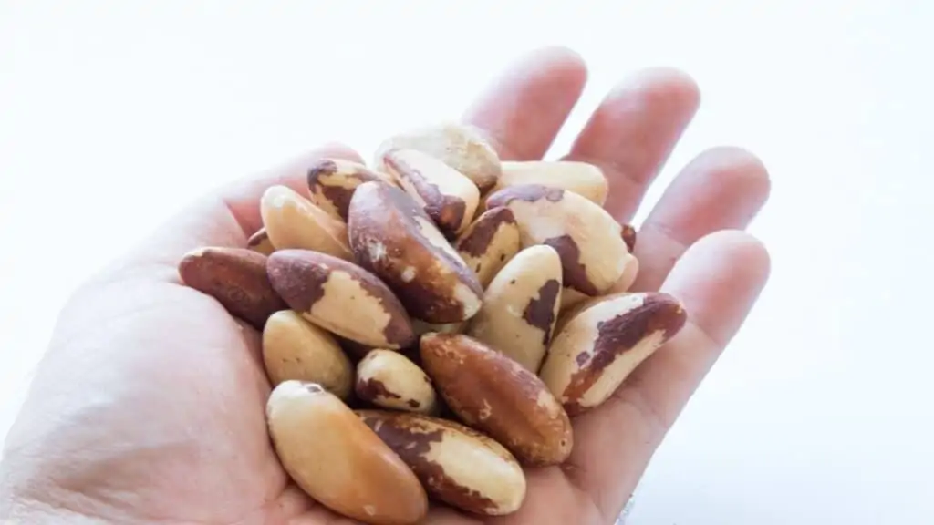 Can You Roast Brazil Nuts