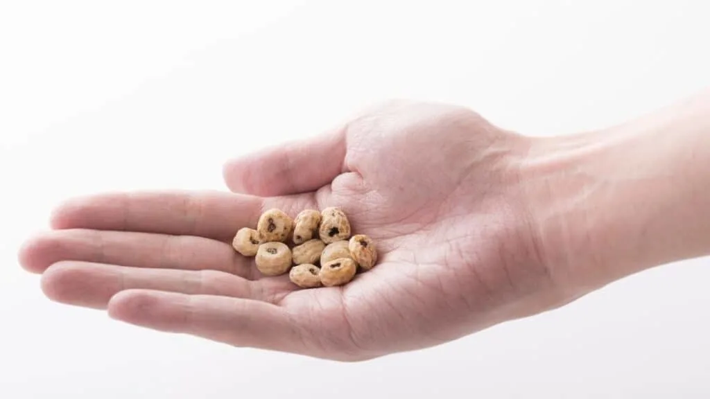 Do You Have To Peel the Tiger Nuts