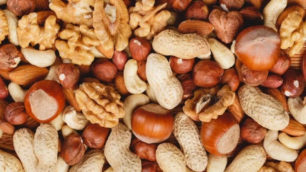 How Do Nuts Have Protein
