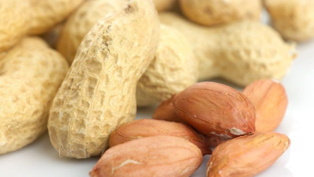 How Healthy Are Monkey Nuts