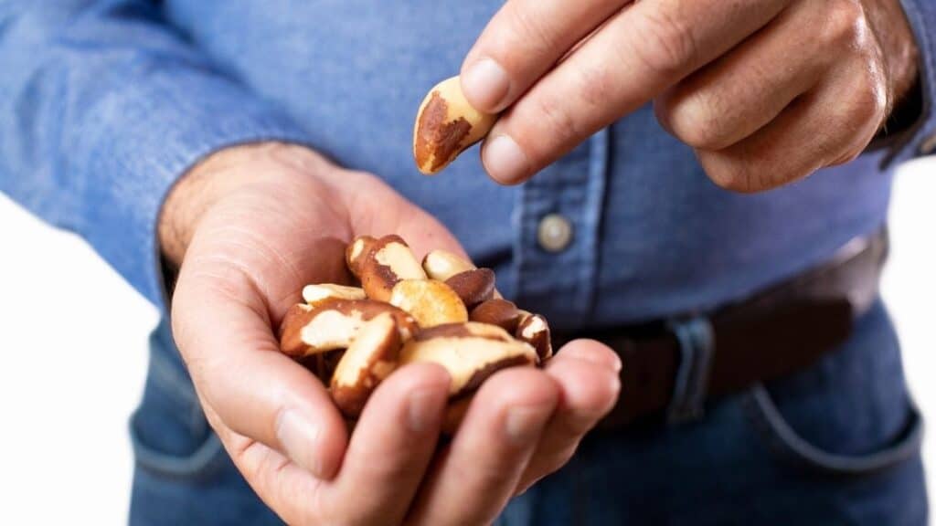 How Many Brazil Nuts per Day