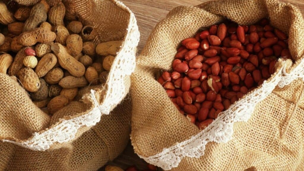 How Many Calories Are There in Shelled Monkey Nuts