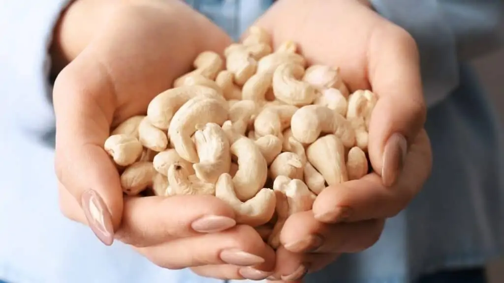 How Many Cashews Can I Eat a Day