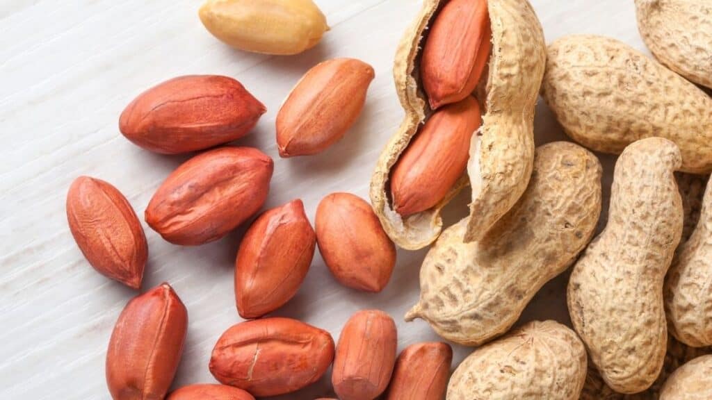 How Many Monkey Nuts per Day