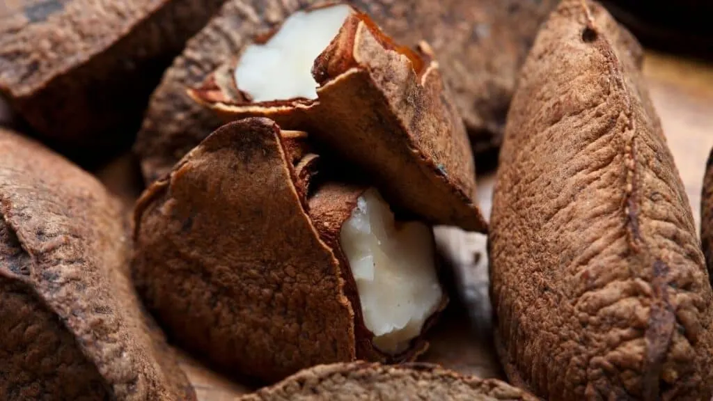 How Many Brazil Nuts Per Day?