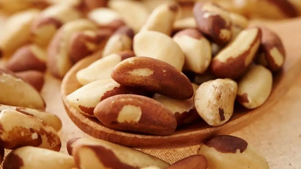 Is Brazil Nut Radioactivity Dangerous