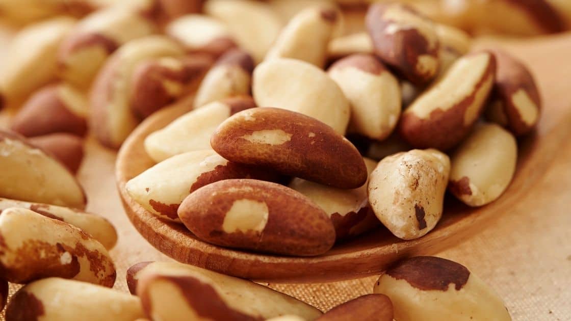 Why Are Brazil Nuts Radioactive? Eat For Longer