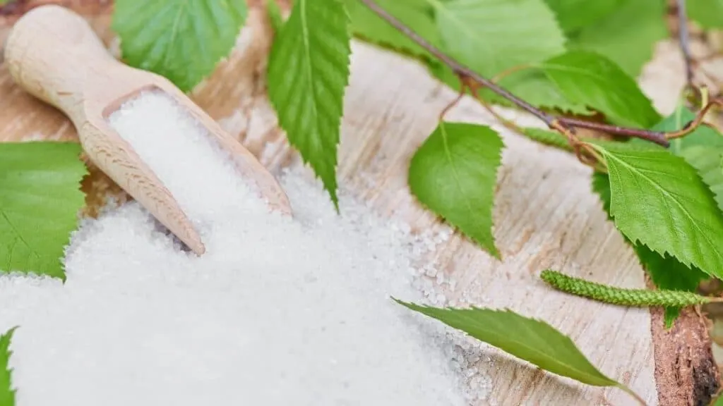 Is Xylitol Dangerous