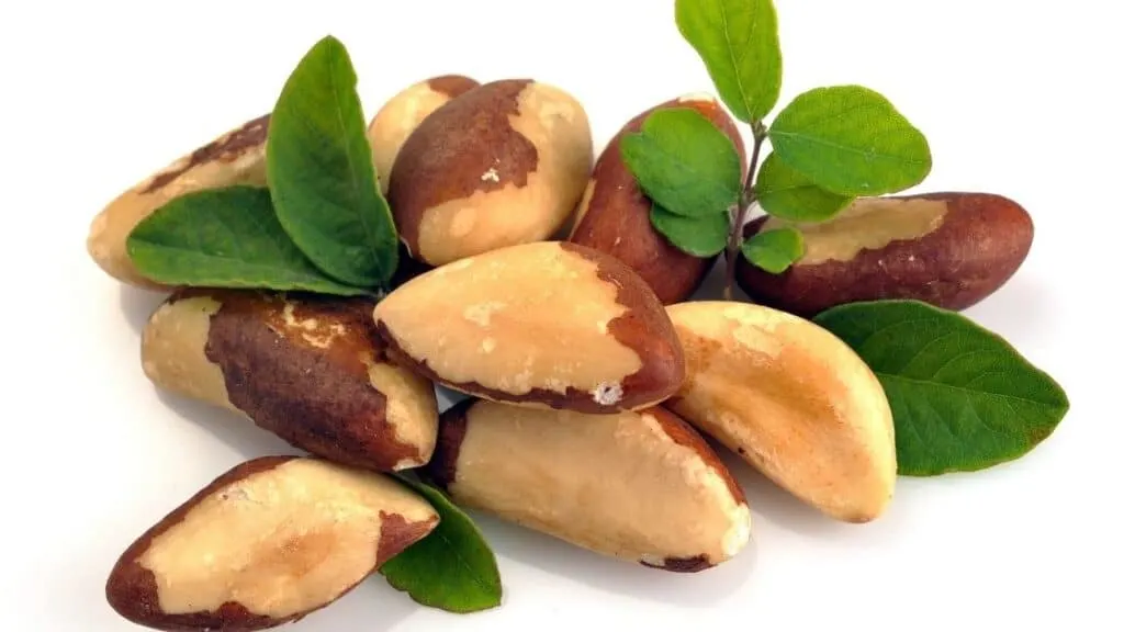 What Are Brazil Nuts