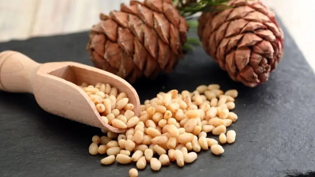 Why You Should Incorporate Pine Nuts Into Your Diet