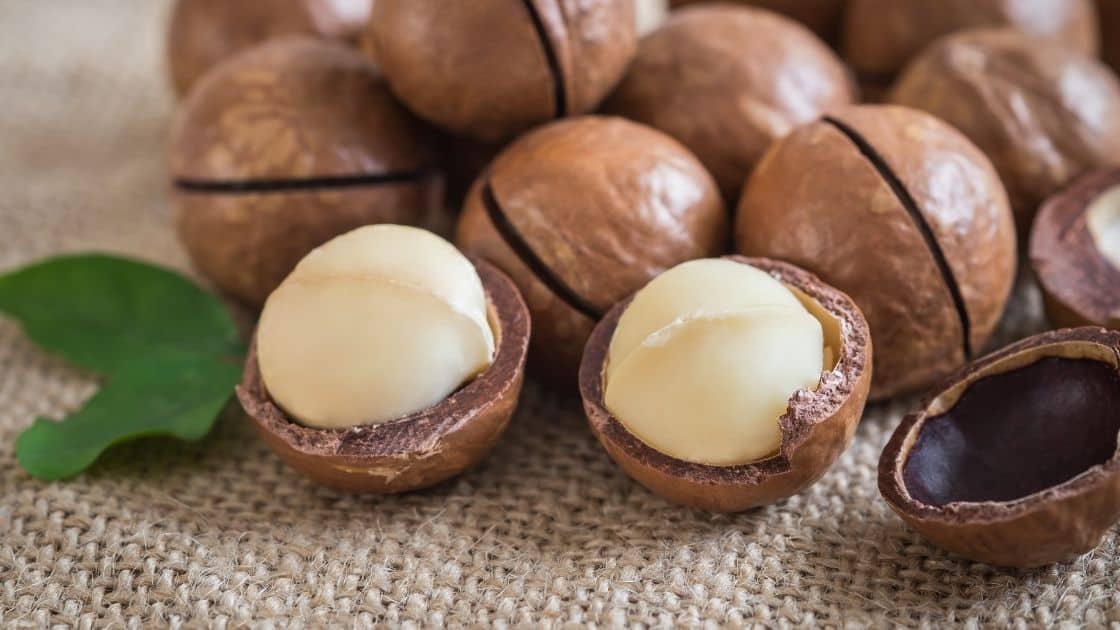 What Are The Most Expensive Nuts?