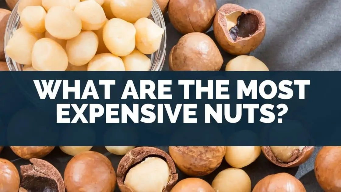 What Are the Most Expensive Nuts