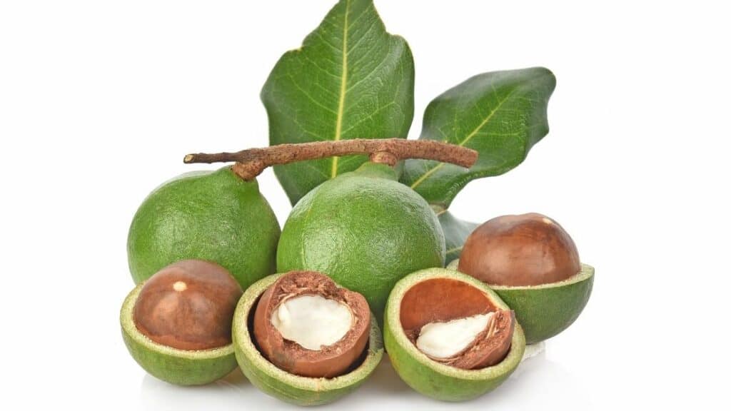 What Are the Worst Nuts To Eat