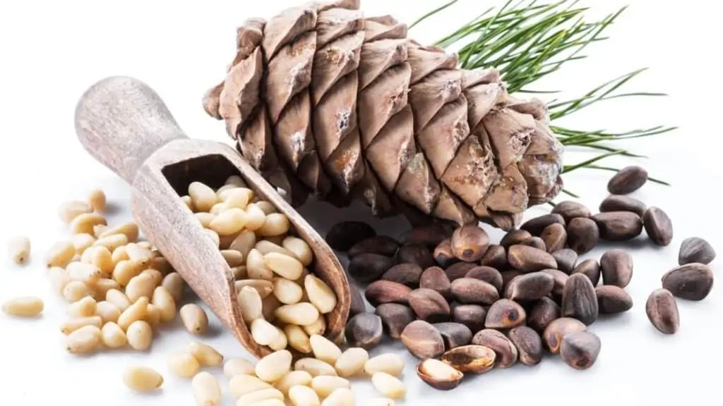 What Happens if You Eat Too Many Pine Nuts