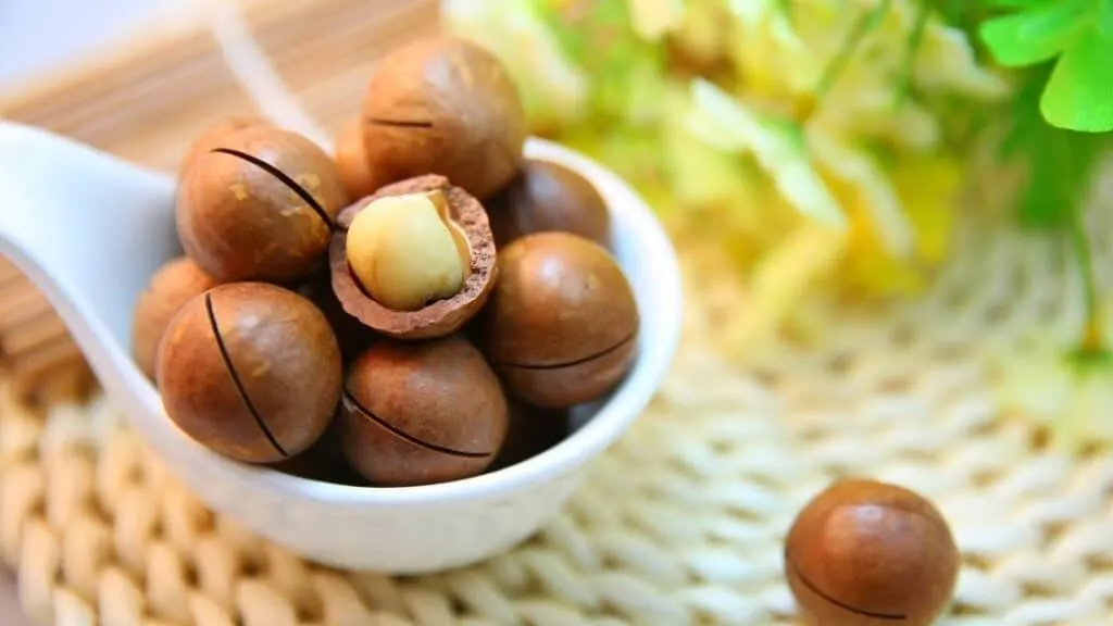 What Nut Has the Highest Fat Content