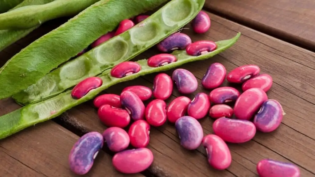 What Other Foods Help You Poop