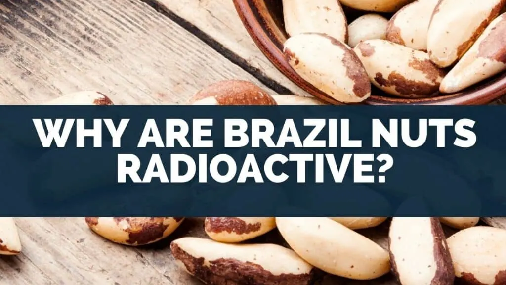 Why Are Brazil Nuts Radioactive