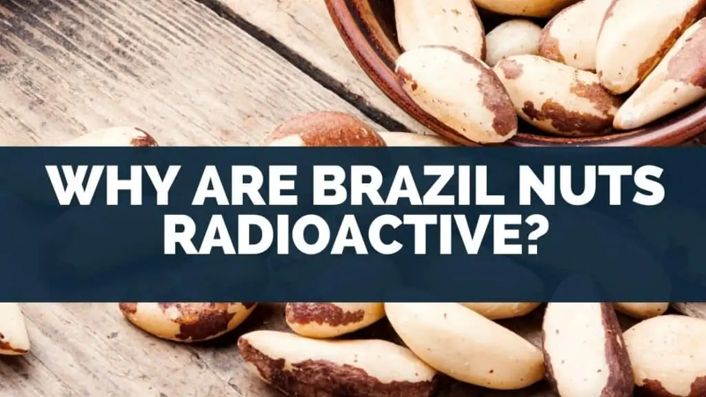 Why Are Brazil Nuts Radioactive