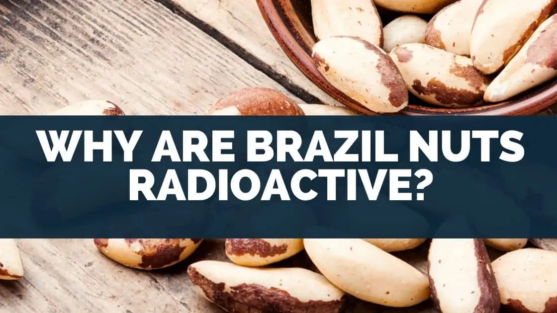 Why Are Brazil Nuts Radioactive