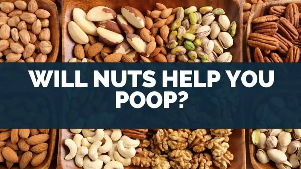 Will Nuts Help You Poop