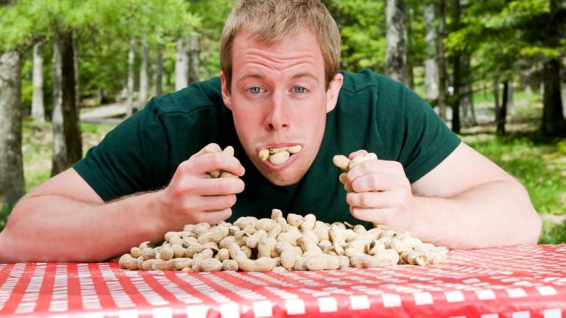 What Nuts Are Easy To Digest?