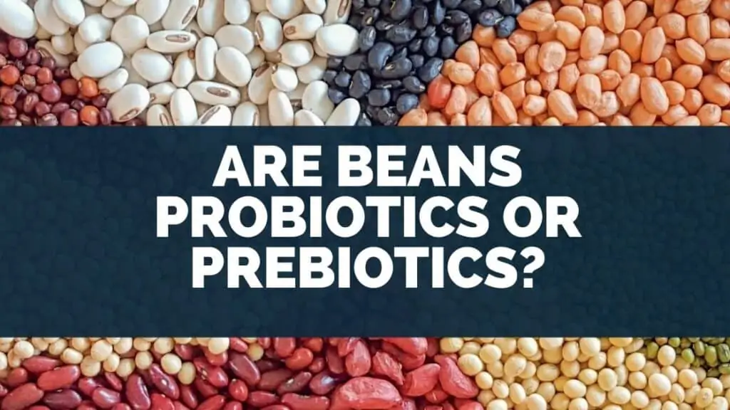 Are Beans Probiotics Or Prebiotics
