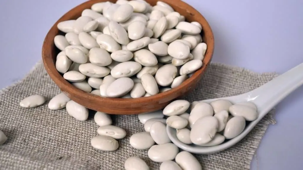 Are Pinto Beans Prebiotic