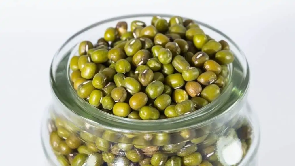 Are green beans Paleo