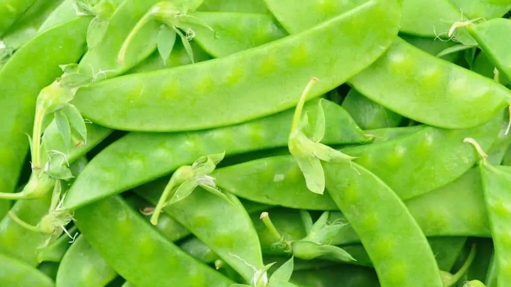 Are snow peas Paleo