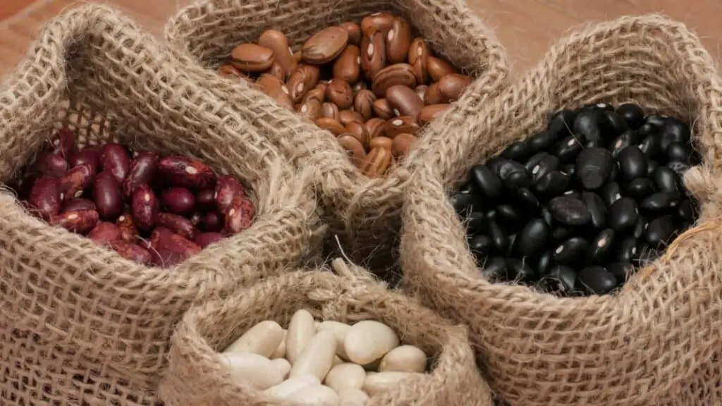 Do beans contain prebiotics